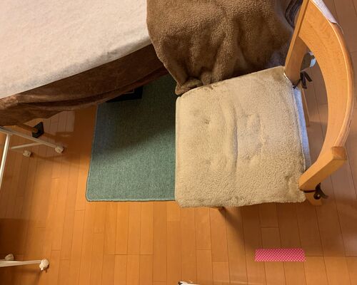 椅子