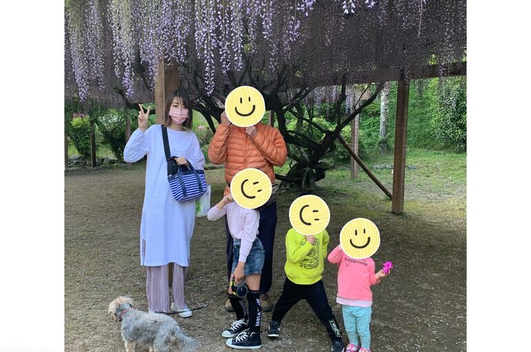藤の花