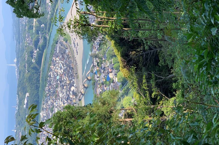 山登り