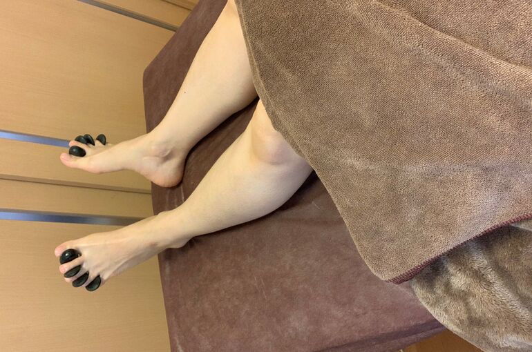 モデル６