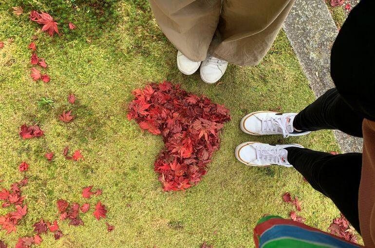 紅葉２