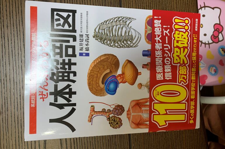 解剖学